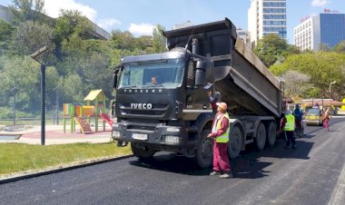 Lebedei i se fac lucrări de amenajare