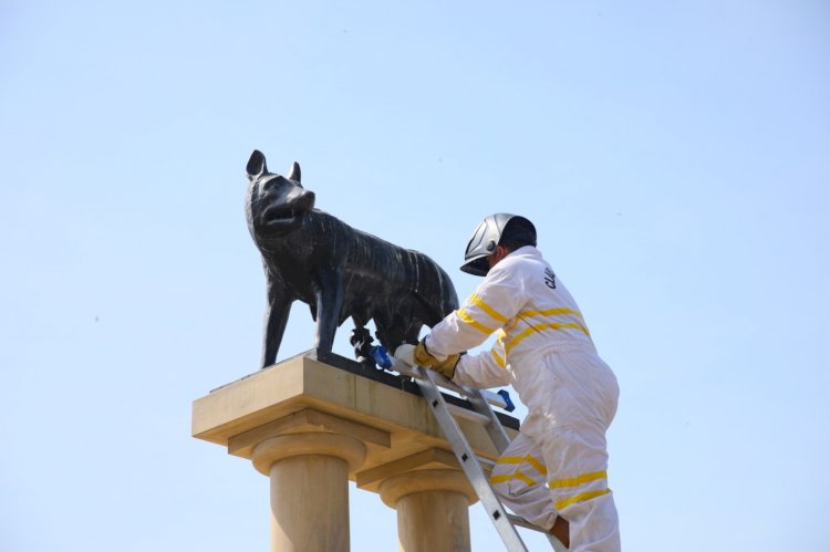 Romulus și Remus sunt, din nou, împreună!