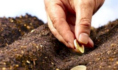 Depune online cererea la APIA, nu rata subvenția!