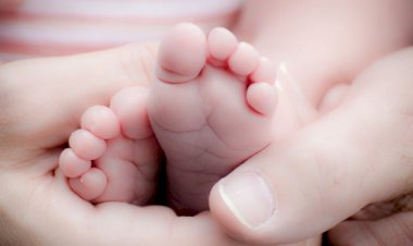 Primăria Constanța anunță că încep înscrierile pentru fertilizarea in vitro