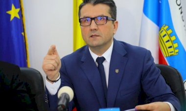 Făgădău: Este normal ca domnul președinte Iohannis să-și prezinte scuze, pentru că și-a asumat guvernul