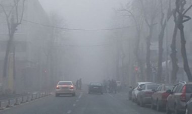 ANM a prelungit Codul galben de ceaţă densă în Constanța și Tulcea