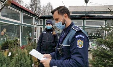 Acțiuni de control ale polițiștilor constănțeni la comercianții de brazi de Crăciun