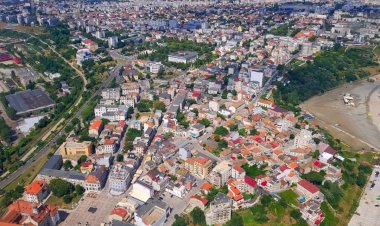 Ședință de lucru online pentru întocmirea Regulamentului Spațiilor Verzi