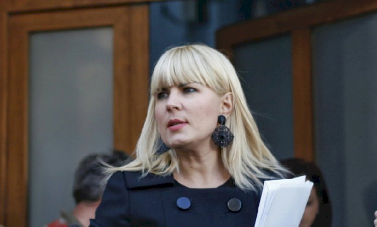 Elena Udrea ar putea scăpa de dosarele penale