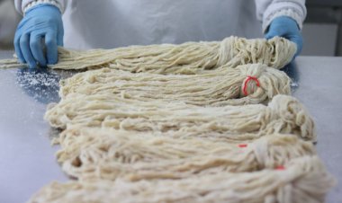 20 de tone de maţe cu depăşiri de antibiotic au fost reţinute în Constanţa