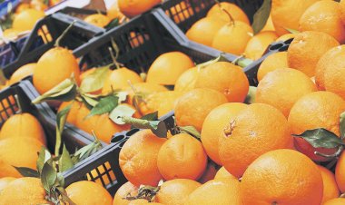 Zeci de tone de lămâi și mandarine cu pesticide au ajuns la vânzare