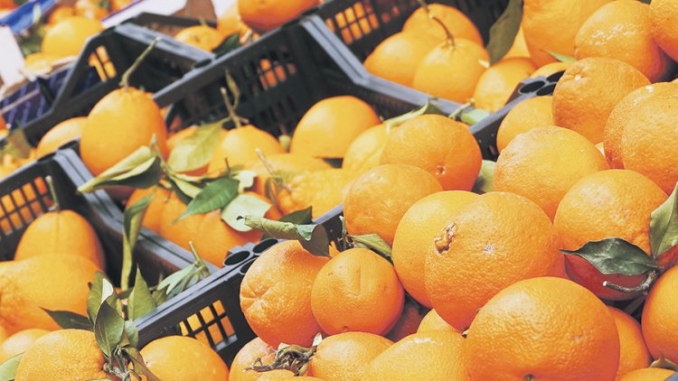 Zeci de tone de lămâi și mandarine cu pesticide au ajuns la vânzare