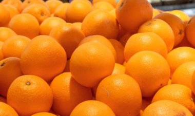 Alertă alimentată: Portocale cu pesticide, retrase de Carrefour România