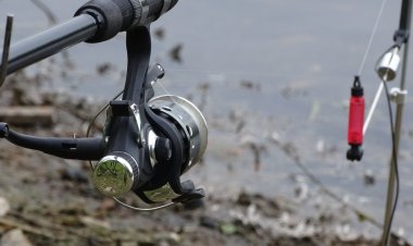 Perioada de prohibiţie la pescuit va începe în 9 aprilie