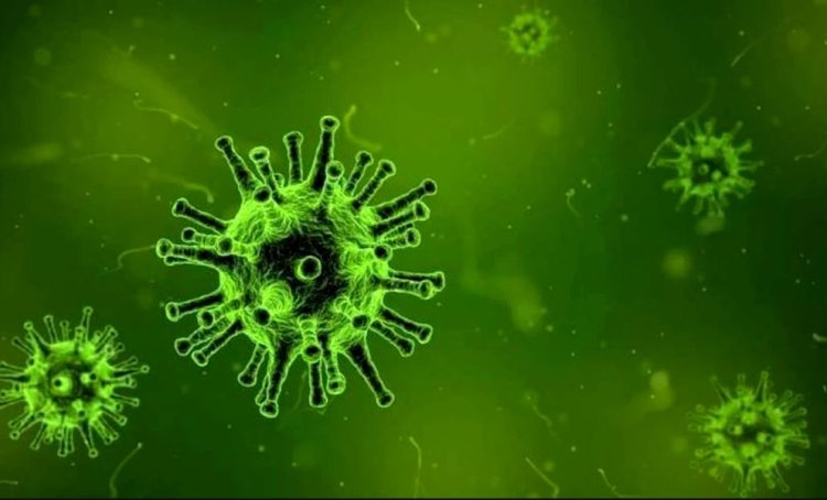 Noi variante de coronavirus ar putea să apară în această iarnă