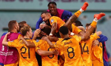 Olanda, prima echipă calificată în sferturi, după 3-1 cu SUA