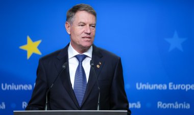 Iohannis: Nu va exista un boicot la adresa Austriei din partea statului român