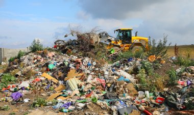 Amenzi usturătoare pentru cei care aruncă deșeuri pe domeniul public
