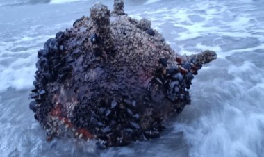 Mina marină găsită pe plaja de la Sfântu Gheorghe a fost neutralizată