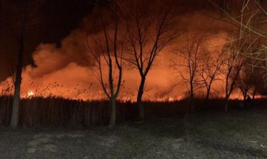Circa 20 de hectare cu stuf au ars în apropiere de Murighiol