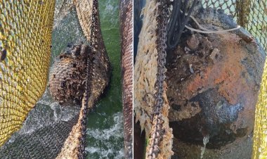 Mină marină din al Doilea Război Mondial a fost distrusă de scafandrii Forțelor Navale