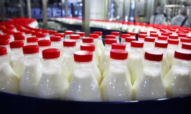 Laptele se ieftinește de la 1 mai