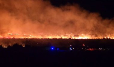 Incendiu de vegetație uscată la Poarta Albă
