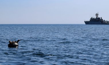 Forțele Navale Române desfășoară permanent misiuni de monitorizare în Marea Neagră