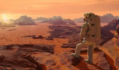 Trei elevi constănțeni vor merge în America pentru a prezenta un proiect premiat