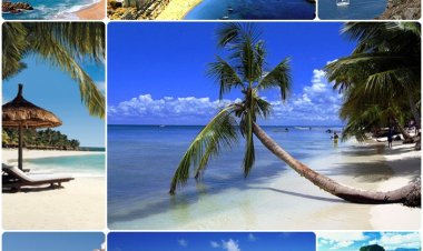 Industria călătoriilor şi a turismului va contribui în acest an cu aproximativ 11 la sută la PIB-ul global