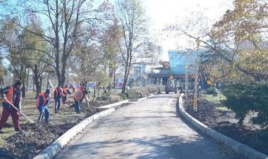 Chițac: Parcul Tăbăcărie va fi modernizat. Vom reda parcului frumusețea de odinioară