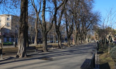 Parcul Oleg Danovski va fi reabilitat cu aproximativ 12 milioane lei