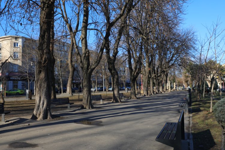 Parcul Oleg Danovski va fi reabilitat cu aproximativ 12 milioane lei