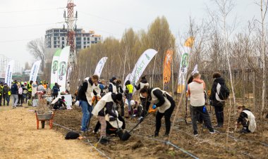 Peste 16.000 arbori și arbuști, plantați într-o singură zi cu ajutorul a 370 voluntari