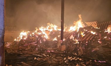 Sute de animale au ars de vii într-un incendiu izbucnit la saivanul de oi din localitate Ostrov