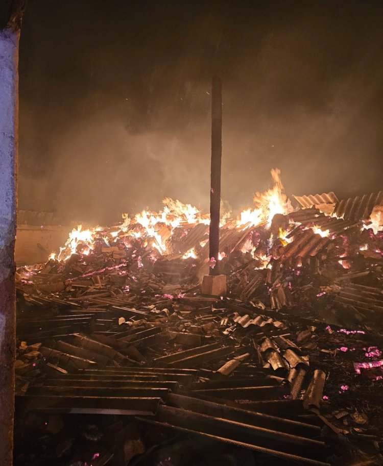 Sute de animale au ars de vii într-un incendiu izbucnit la saivanul de oi din localitate Ostrov