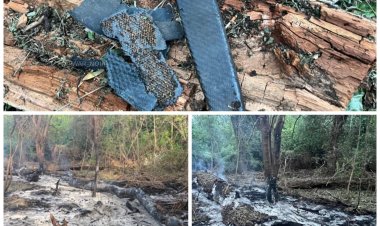 Bucăți de dronă rusească găsite în apropierea localităţii Plauru