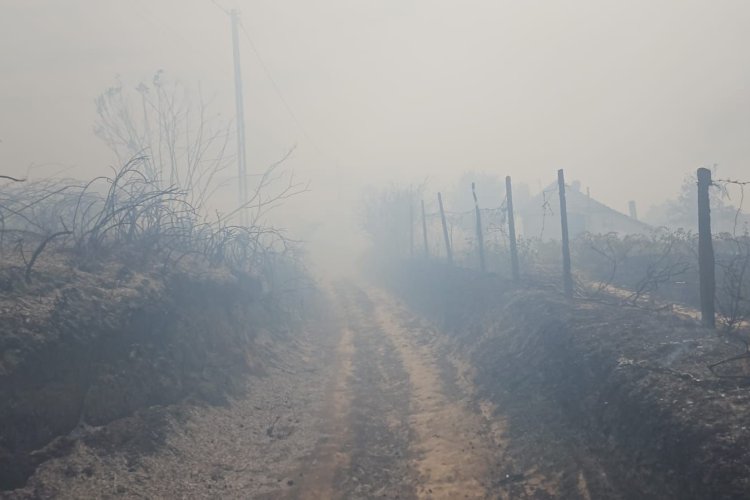 20 de gospodării şi trei case dezafectate, arse în incendiul de la Dunăreni; focul a cuprins 450 hectare de mirişte