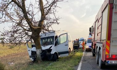 Un microbuz a intrat în copac, la ieșire din Murfatlar. Două minore au ajuns la spital