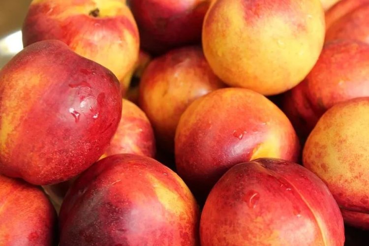 Nectarine importante din Turcia, retrase de la vânzare de ANPC
