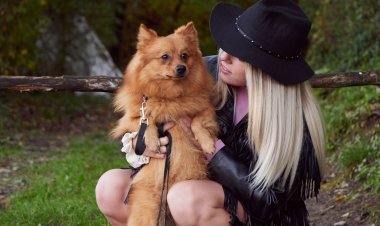 Drepturile și obligațiile legale ale deținătoriilor de animale de companie