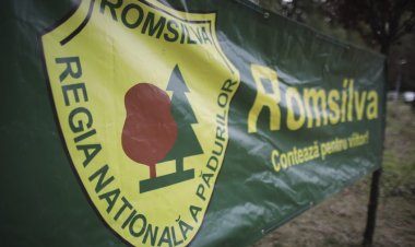 Romsilva rămâne fără 90 la sută din directori