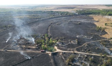 Circulația feroviară între Medgidia și Mircea Vodă a fost oprită temporar din cauza unui incendiu de vegetație