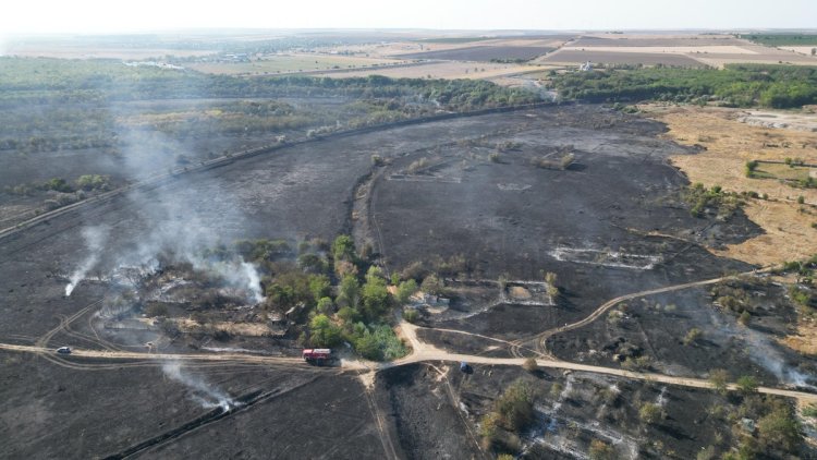 Circulația feroviară între Medgidia și Mircea Vodă a fost oprită temporar din cauza unui incendiu de vegetație
