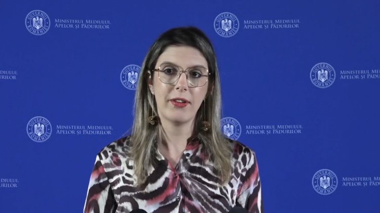 Diana Buzoianu, despre controalele privind plajele din Năvodari: S-au plătit amenzi cât două sticle de șampanie de lux