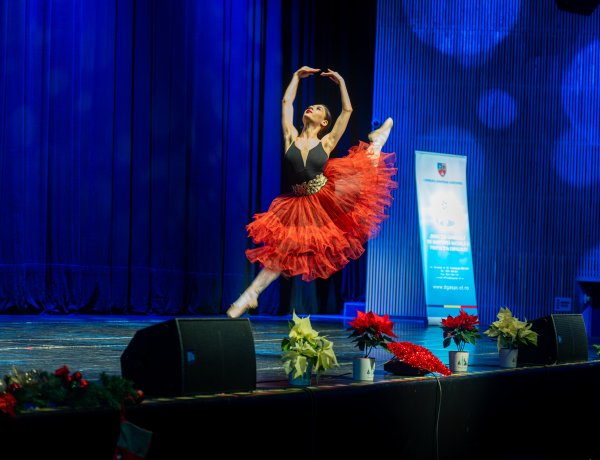 Spectacolul Vocea mea contează, un mesaj puternic despre drepturi, incluziune și solidaritate