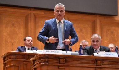 Guvernul Veştea nu a primit votul de investire. Veştea: Am încercat să creionez un program de guvernare