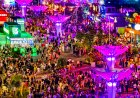 NIBIRU depășește pragul de 1.000.000 de vizite. Vizitatorul care a marcat momentul primește acces gratuit pe viață